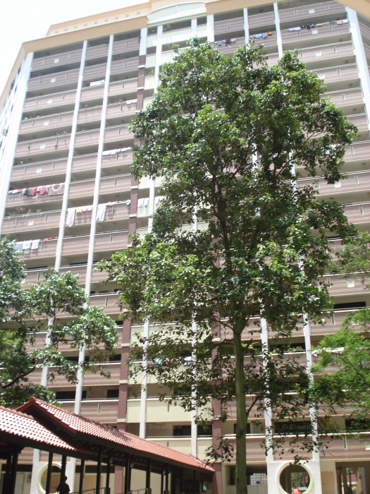 Blk 11 Lorong 8 Toa Payoh (Toa Payoh), HDB 4 Rooms #390442